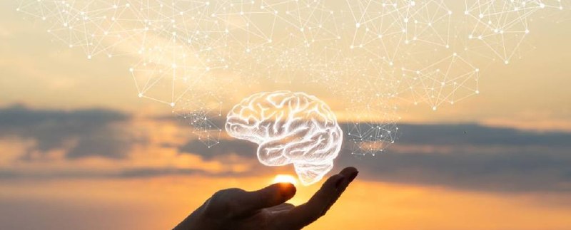 Brain wellness and telehealth services